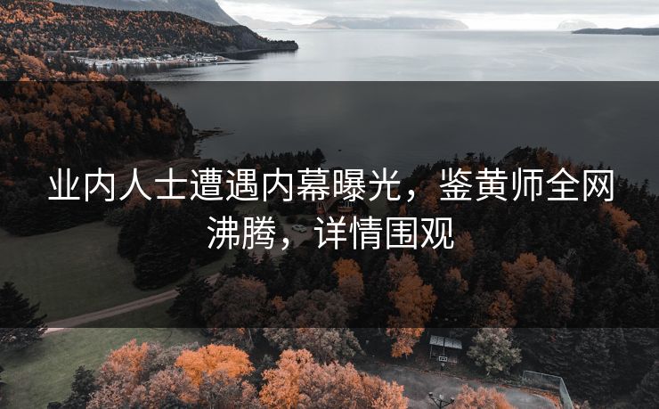 业内人士遭遇内幕曝光，鉴黄师全网沸腾，详情围观